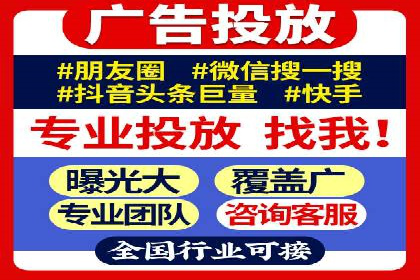 专业竞价SEM托管成功案例解析
